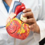 Finding the Right Cardiology Hospital in Bangalore for Quality Heart Care